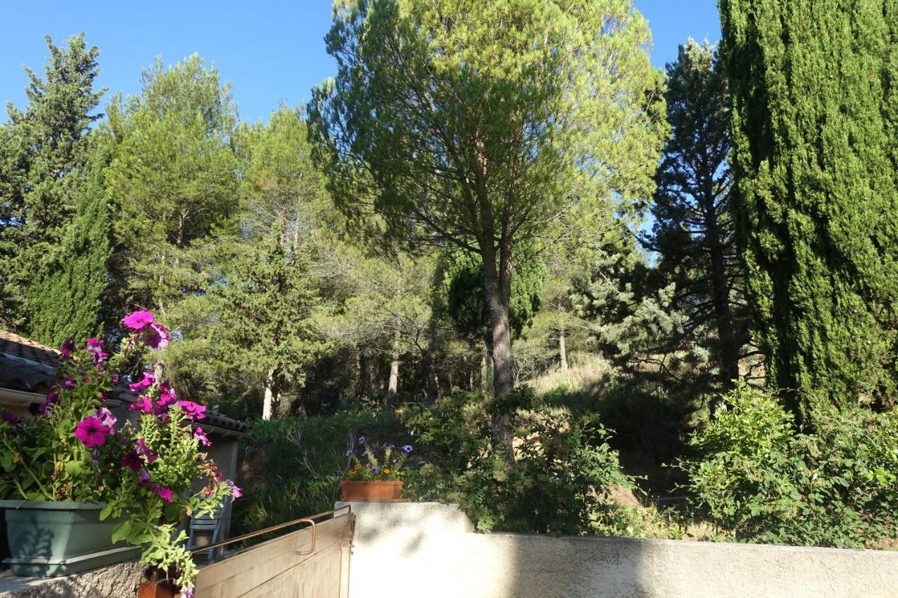 Gite Du Fenouil Lezignan-Corbieres Luaran gambar