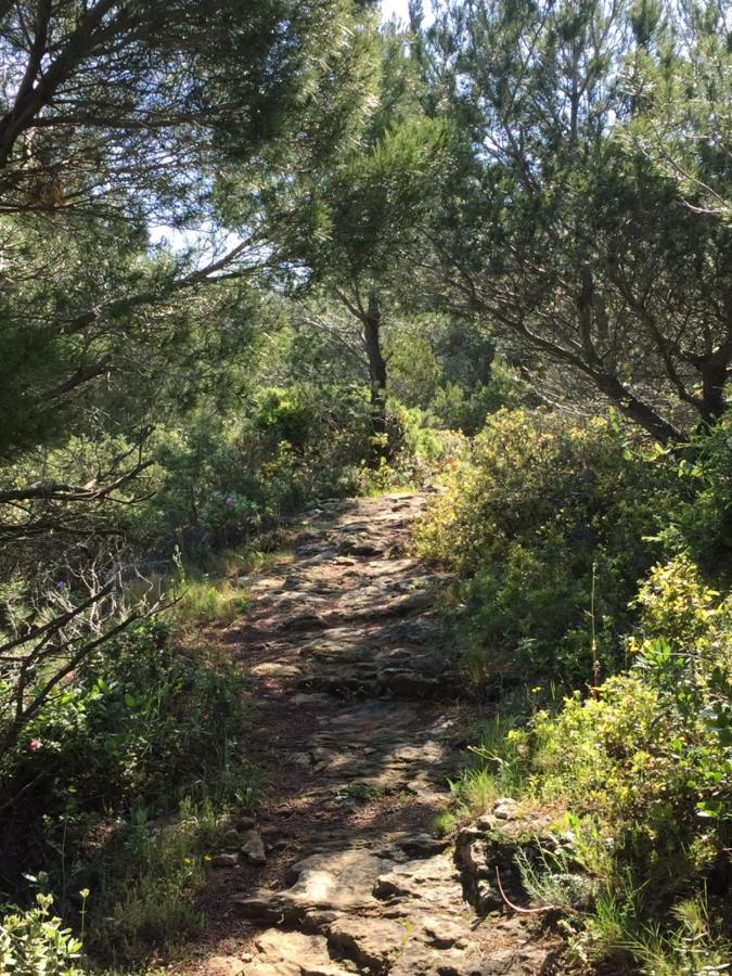Gite Du Fenouil Lezignan-Corbieres Luaran gambar